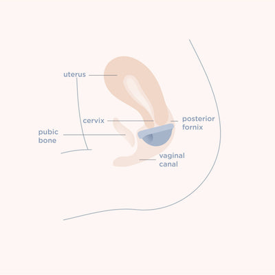 Saalt - Saalt Disc Duo